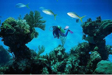 《文明 VII》更新1.1.1发布 带来更优质的游戏体验